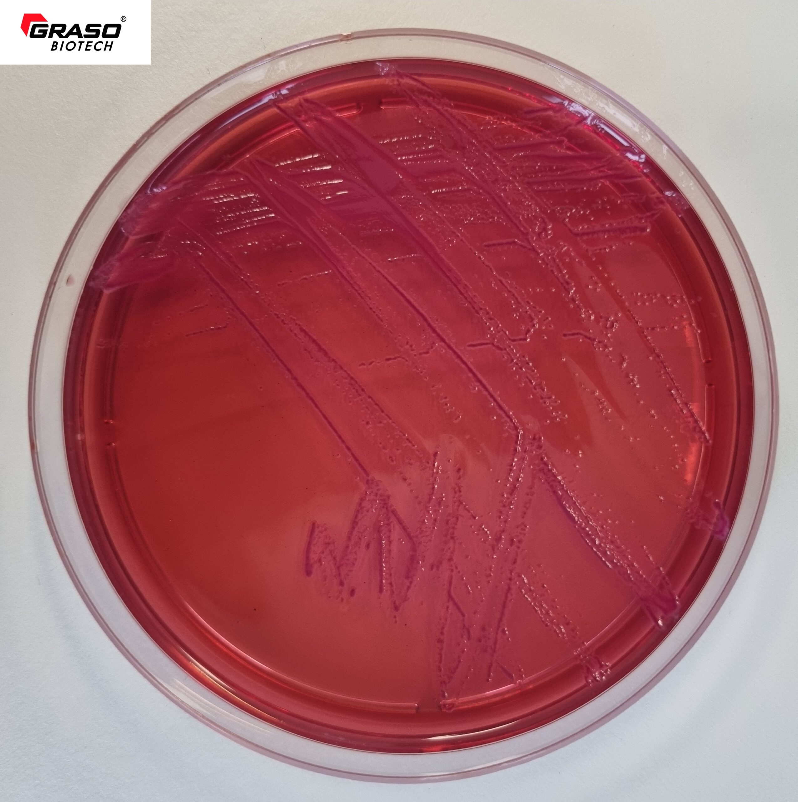 Yersinia CIN (Cefsulodin, Irgasan, Novobiocin) Agar