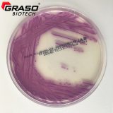 CHROMagar Salmonella PLUS