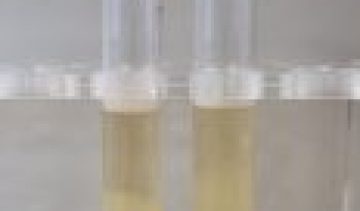 Bulion tioglicolat / Thioglycollate Broth / Mediu I lichid 500 ml
