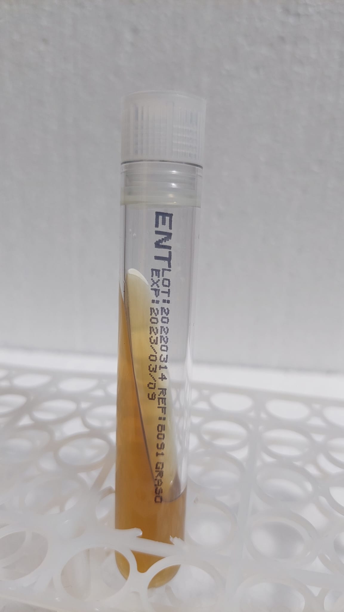 Enterococcosel Agar / Bile Esculin Azide Agar (Streptococ Grup D)