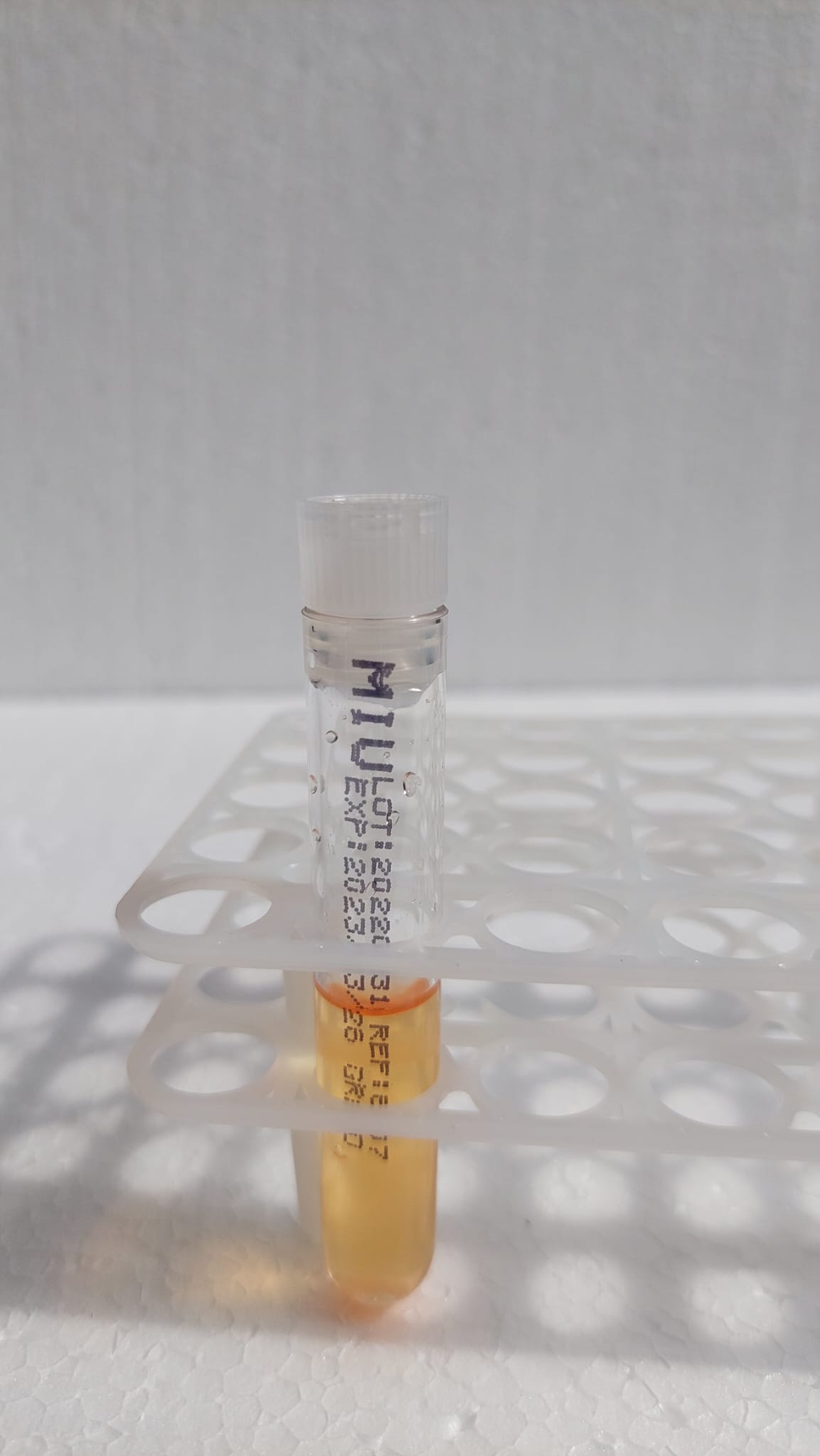 MIU medium – Motilitate, Indol, Ureaza