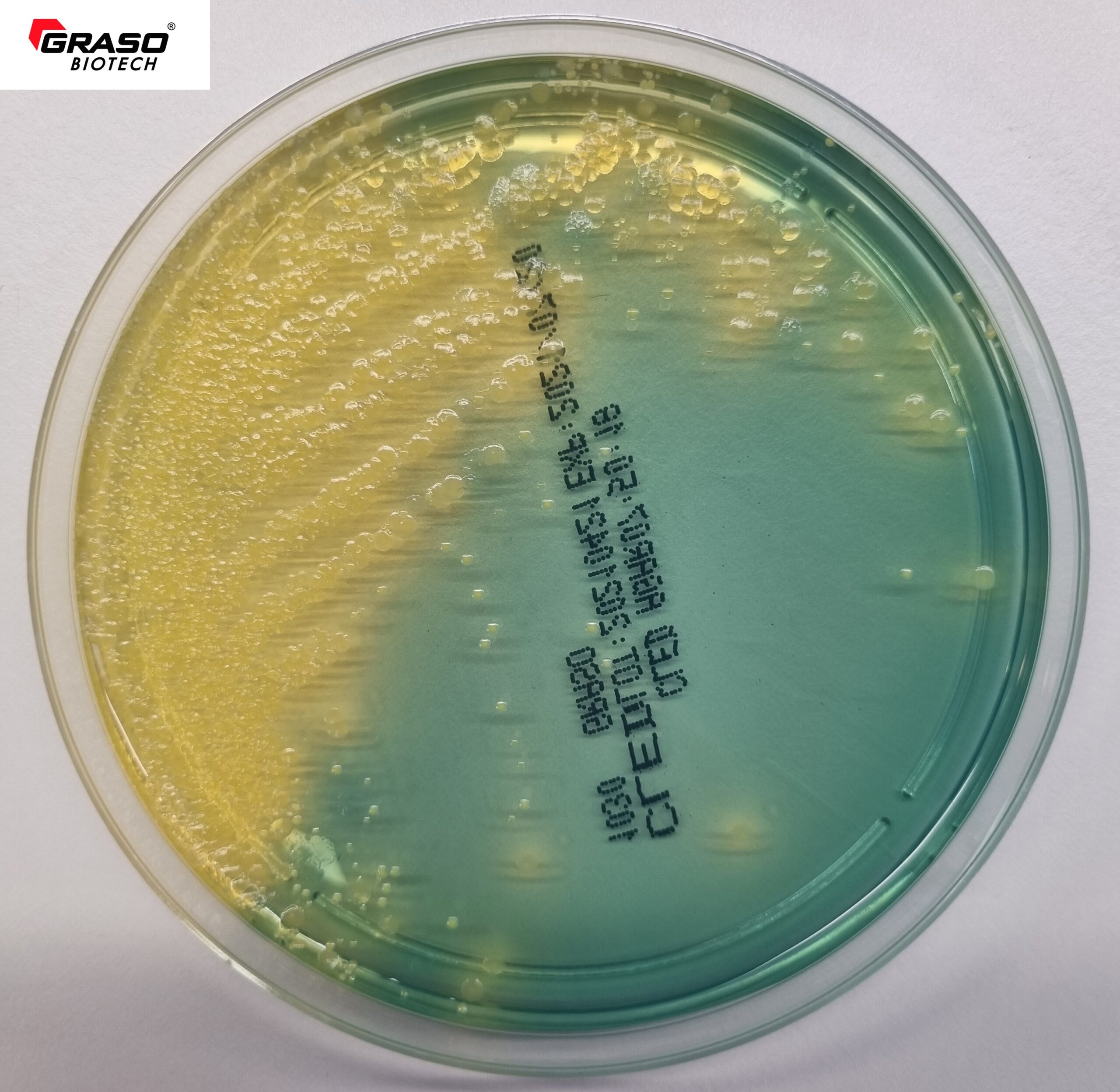 CLED Agar
