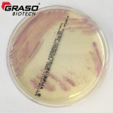 CHROMagar Staphylococous aureus