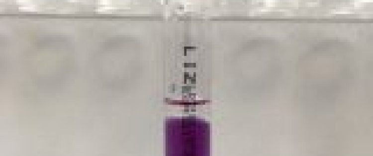Falkow Dihydrolase Broth with lysine /Mediu cu LIZINA